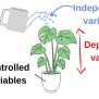 Examples Of Independent, Dependent, And Controlled Variables