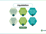 Liquidation Meaning Key Examples Explained