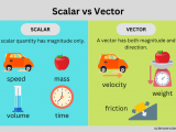 Vector Quantity Examples You Need To Know