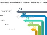 Vertical Integration Examples In Various Industries