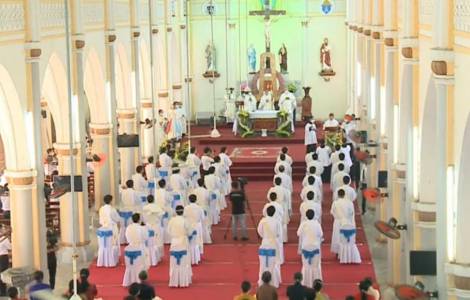 34 New Priests Ordained in Vinh, Vietnam