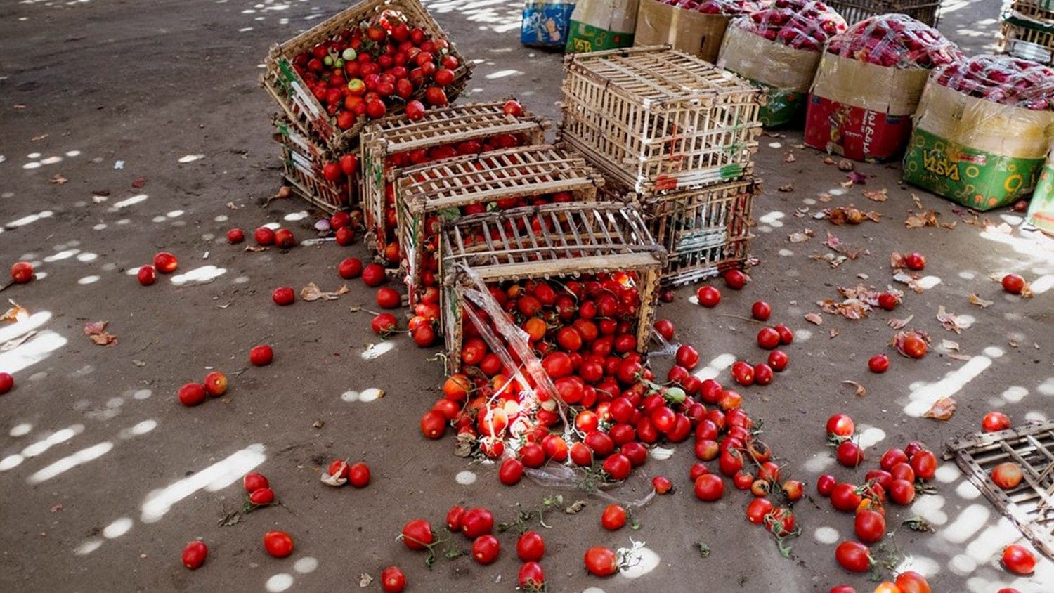Contro la fame superare la logica del mercato