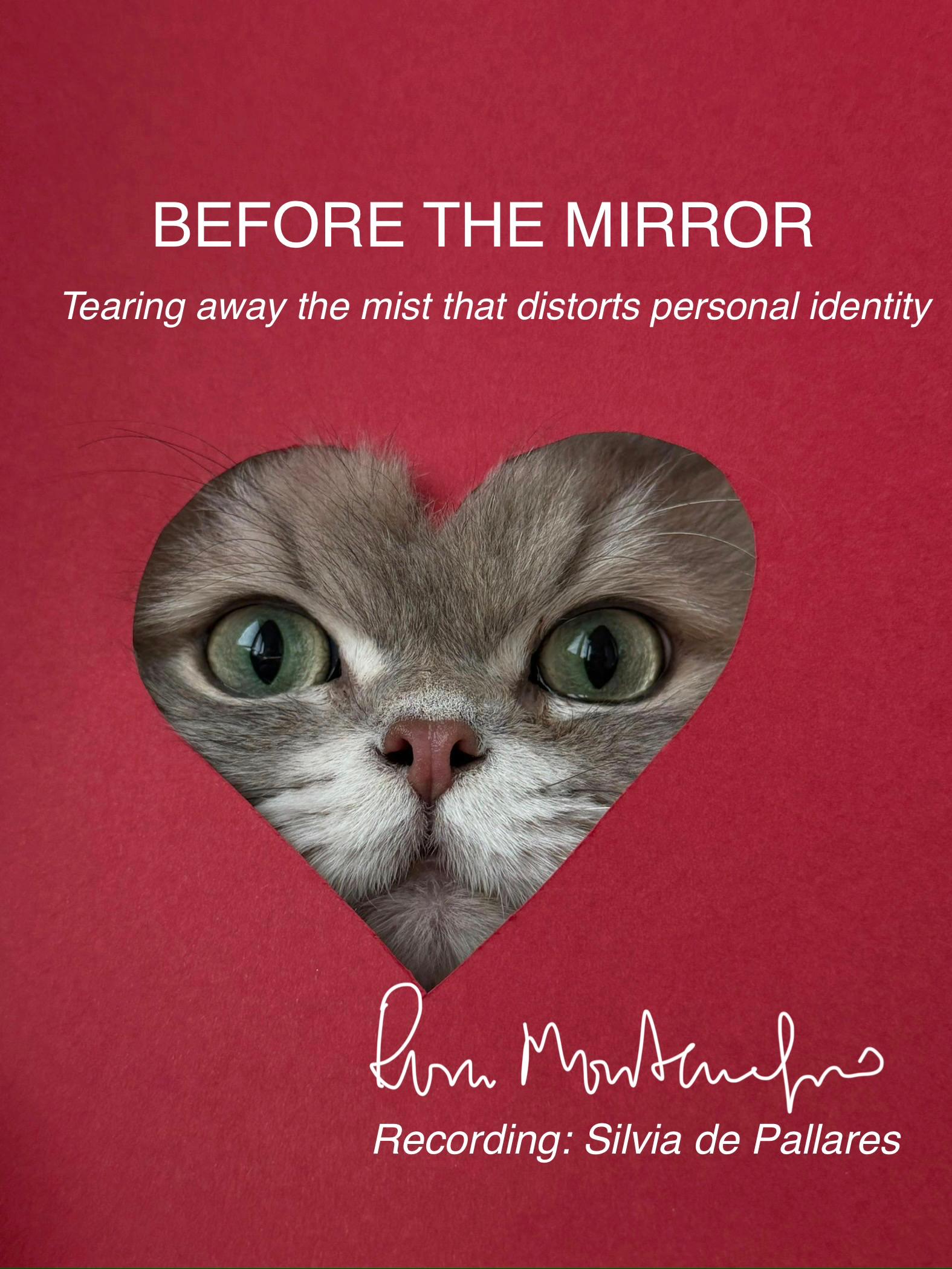 Before the mirror