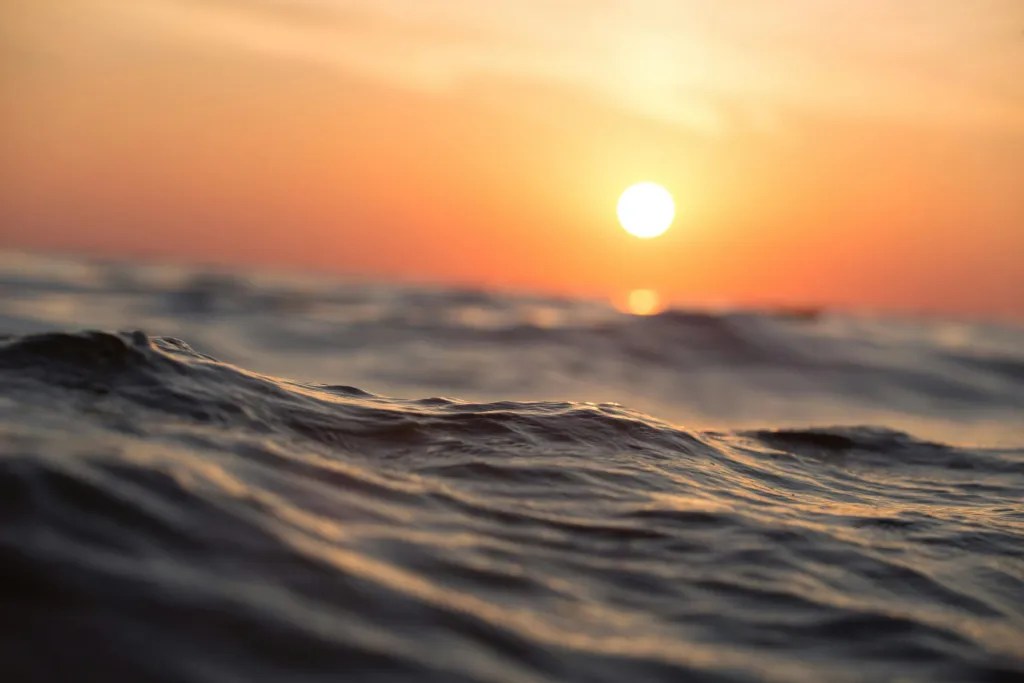 Reflection by Bishop Enrique Díaz: Do not be shaped by the ways of this world