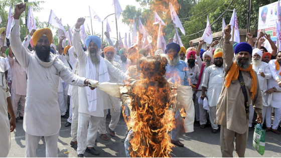 India Farmer's Protests