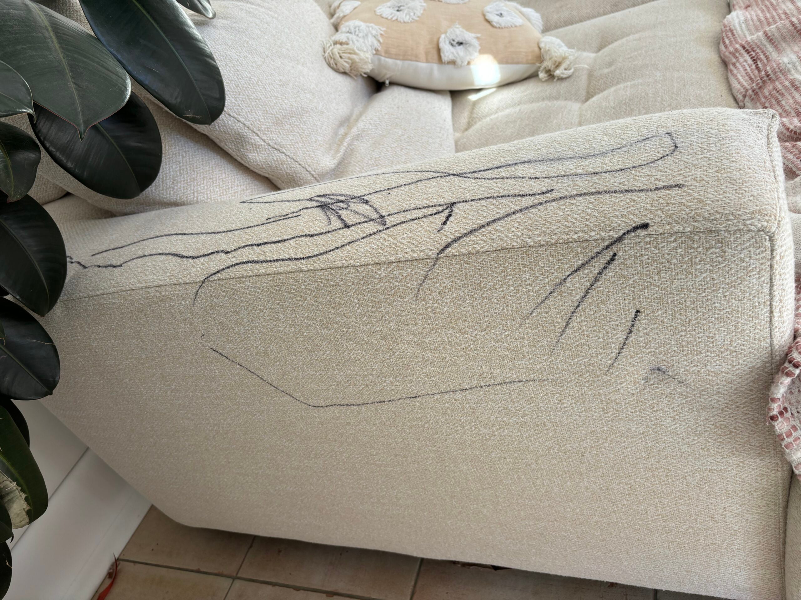 Before — upholstery cleaning and specialist stain treatment in Fadden ACT