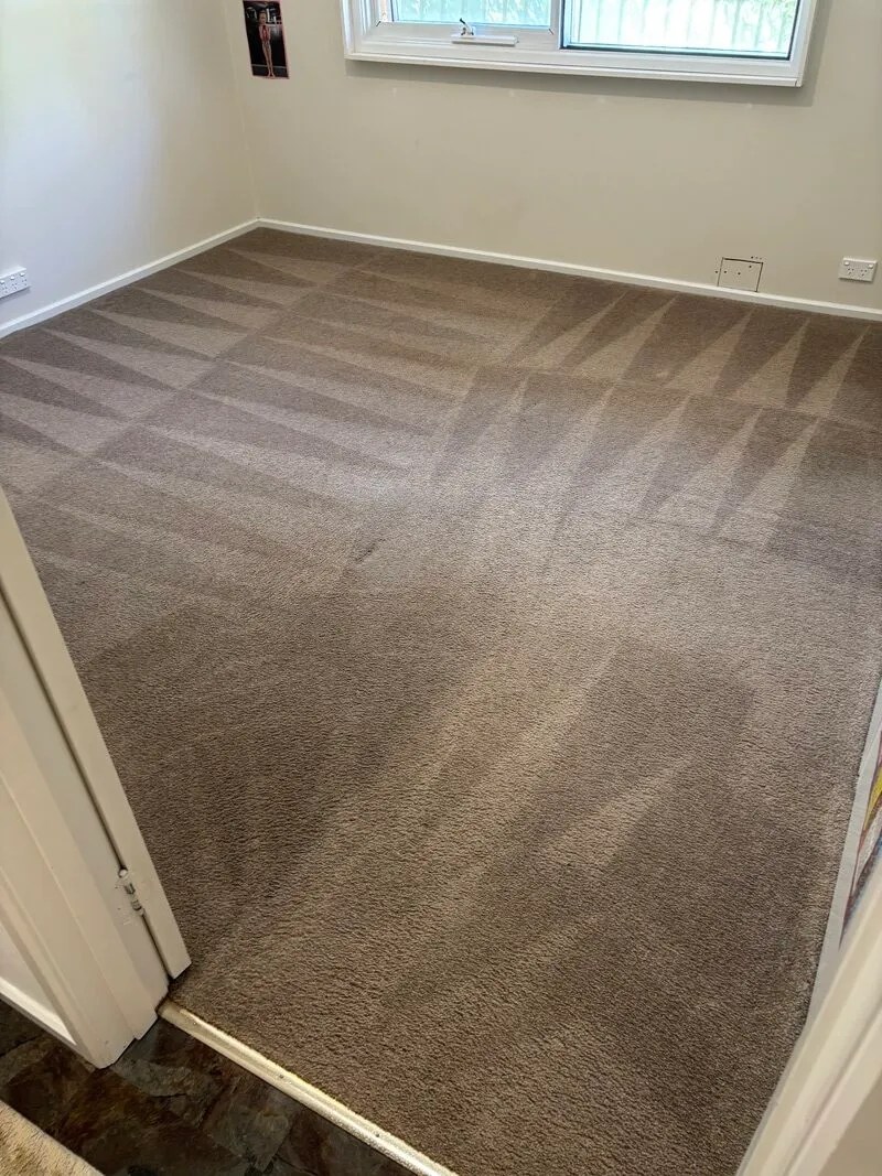 After — wool-safe carpet cleaning in Wanniassa ACT