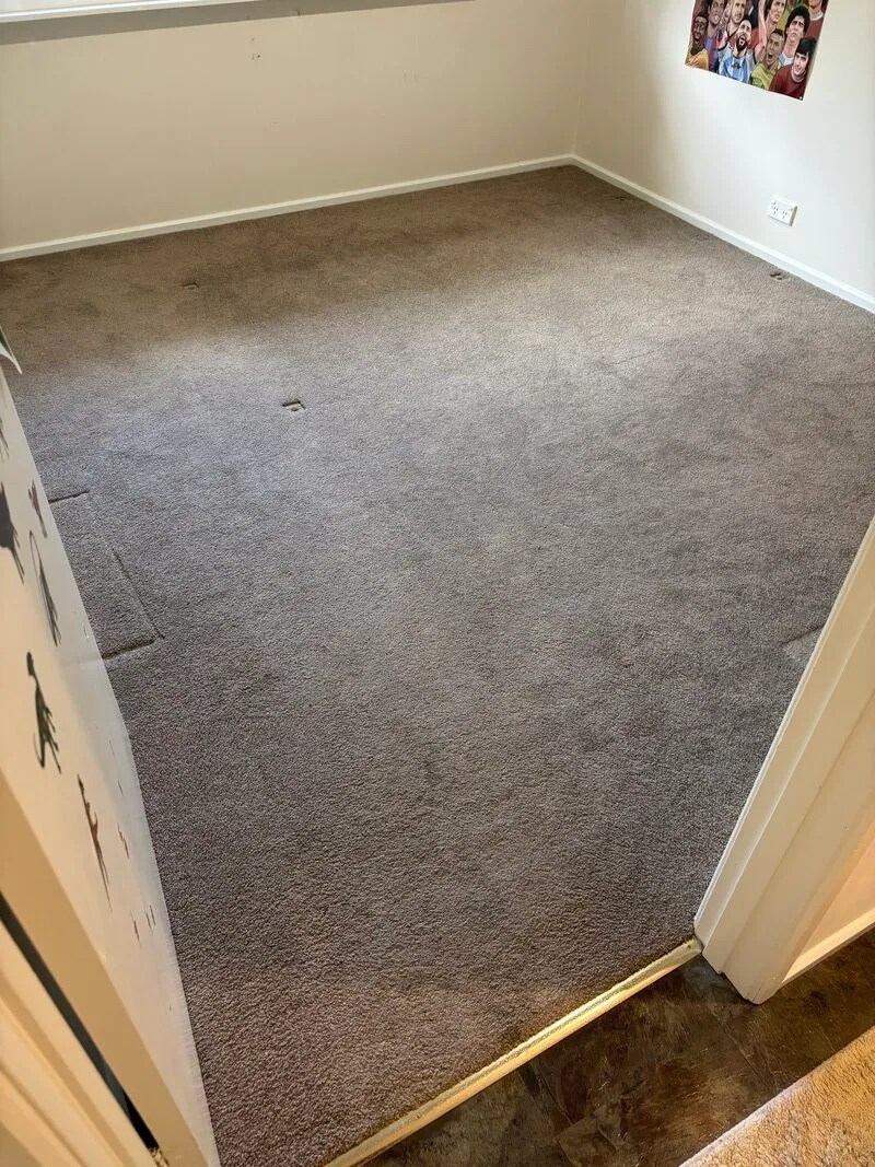 Before — wool-safe carpet cleaning in Wanniassa ACT