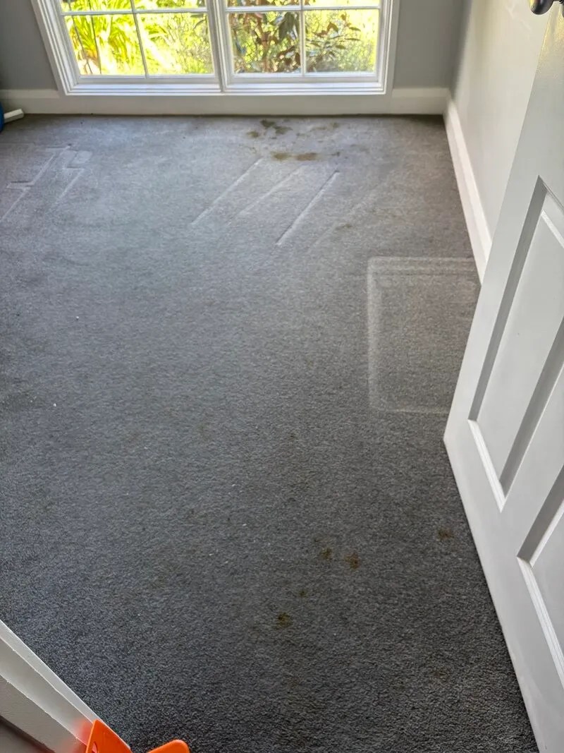 Before — urgent carpet cleaning and stain treatment in Kambah ACT