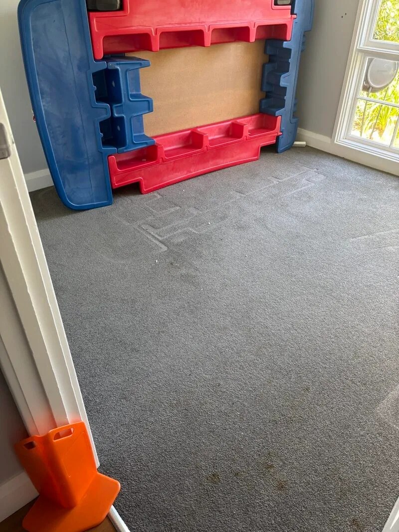Before — urgent carpet cleaning and stain treatment in Kambah ACT