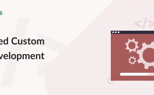 Why You Need Custom Software Development Company? – ExcelHunters