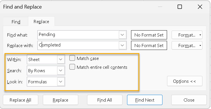 Replace dialog box Options