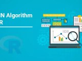 Understanding The Concept Of Knn Algorithm Using R Excelr