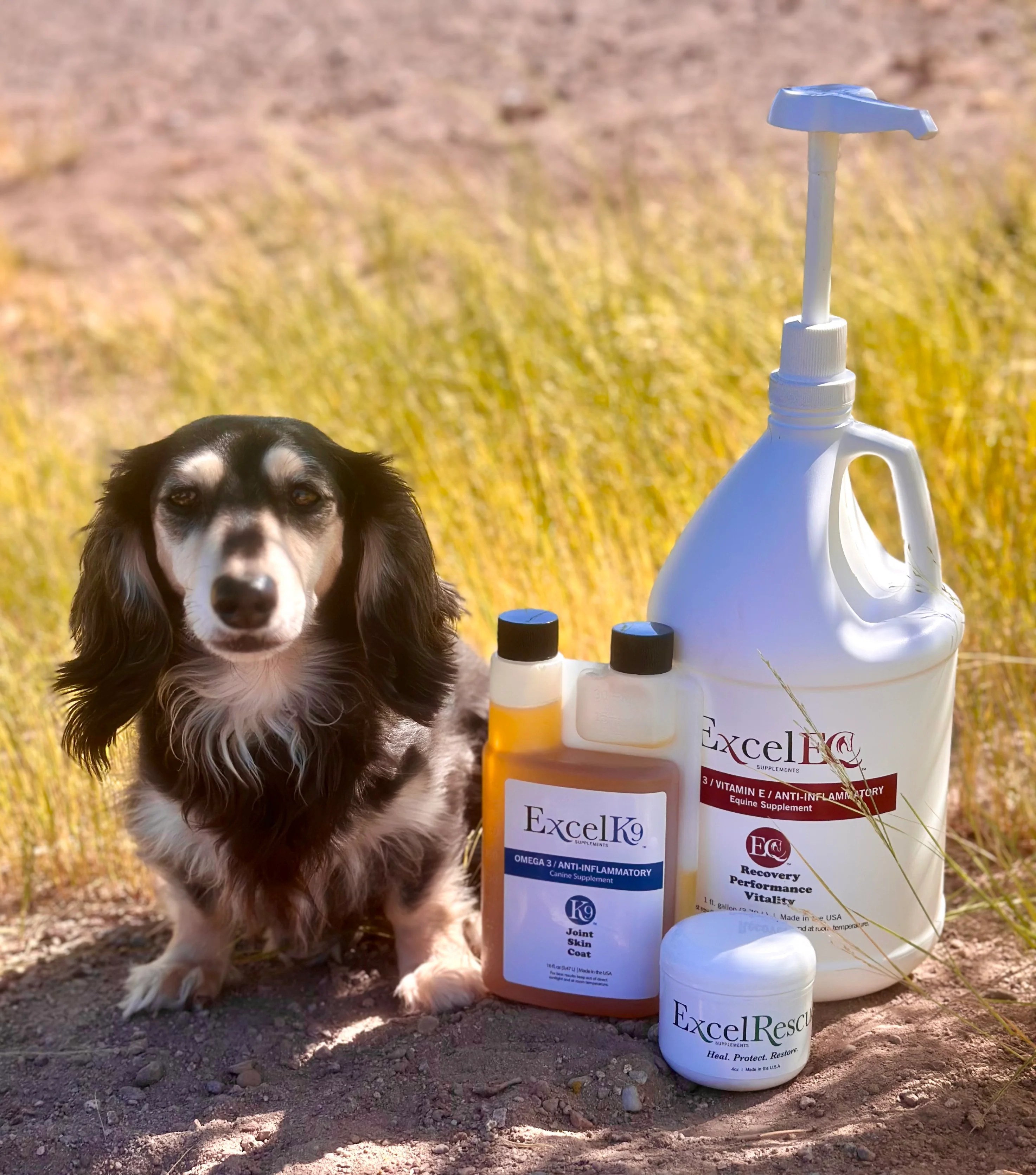 Excel Supplements Premium Camelina Oil For Horses Dogs Healing