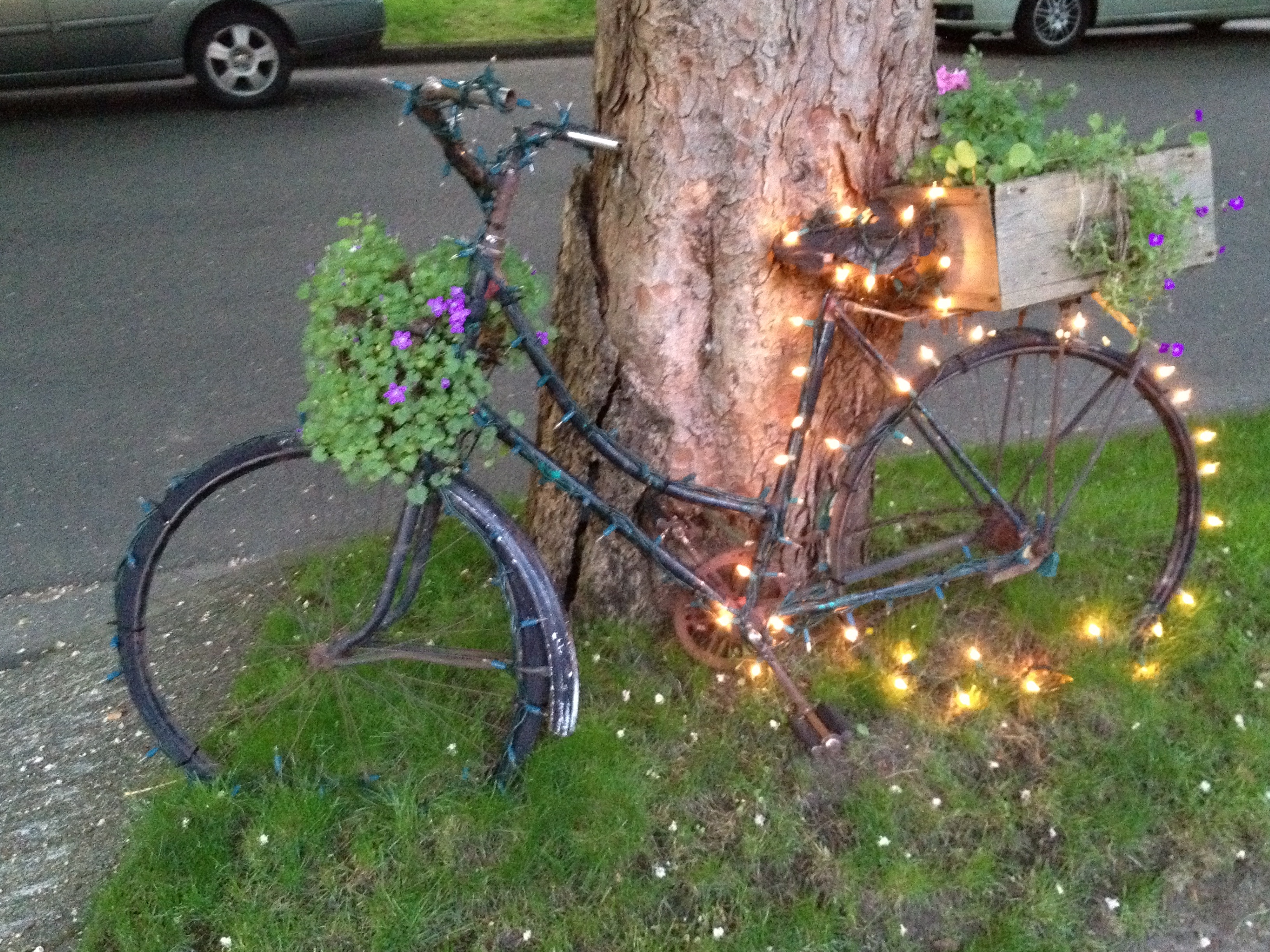 Sparkly bike Copyright Shelagh Donnelly