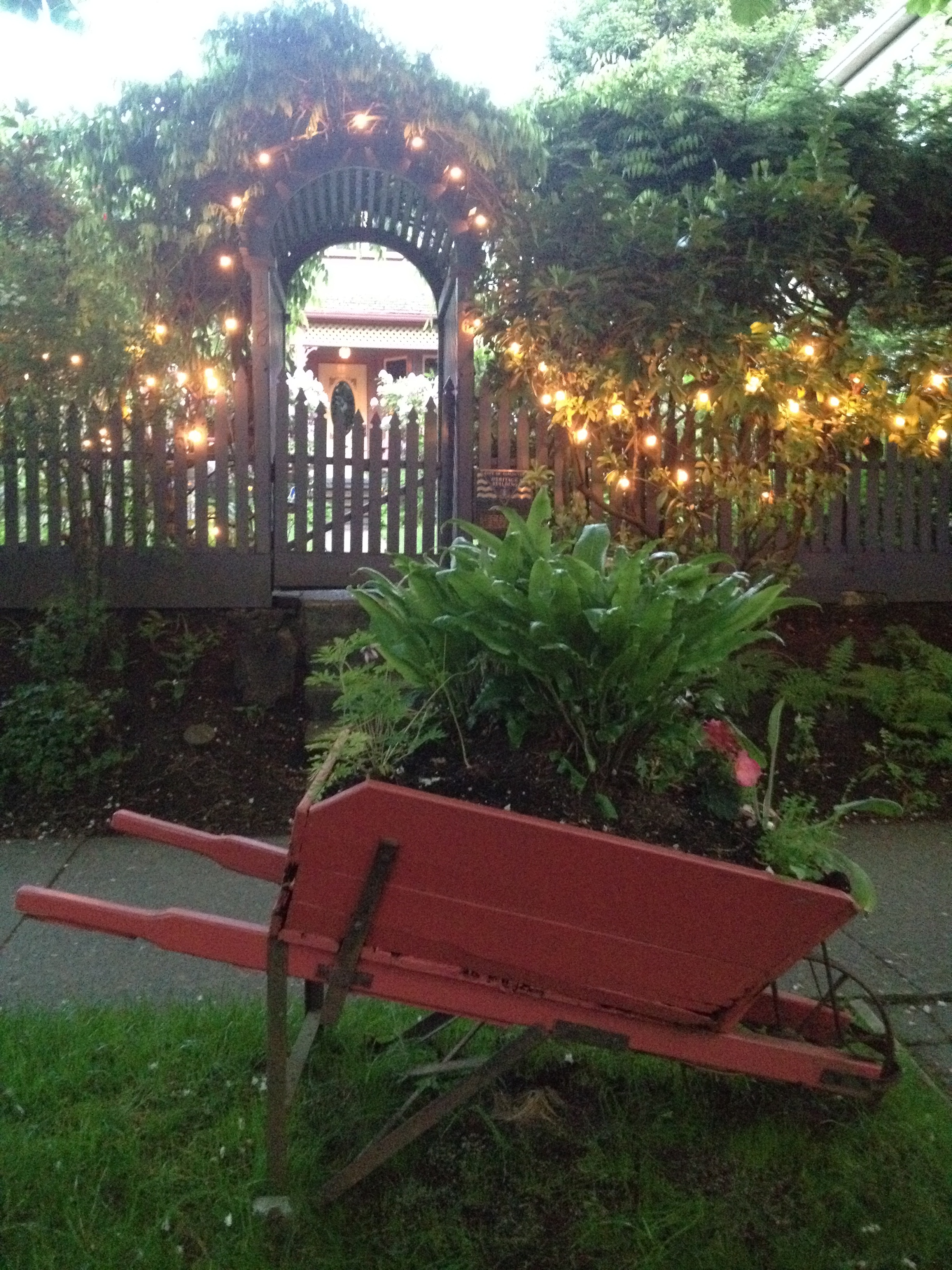 Welcome home Copyright Shelagh Donnelly