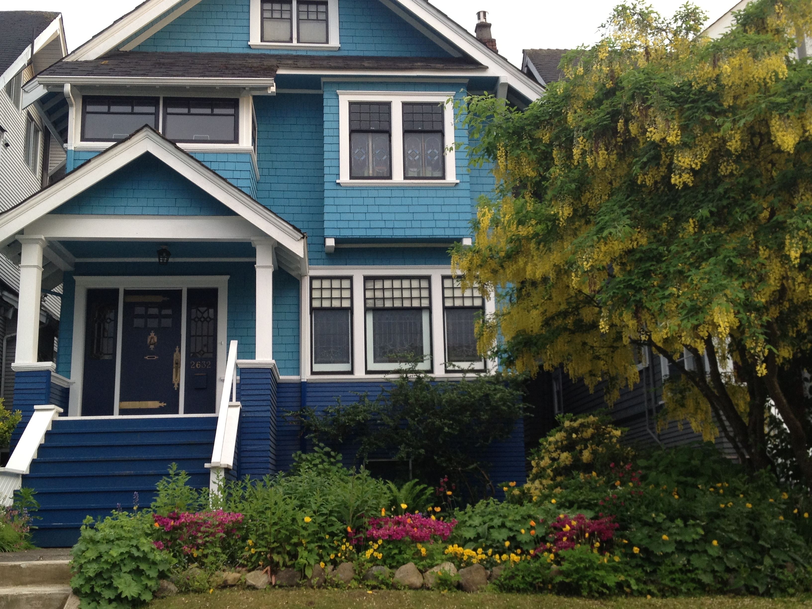 Kits Blue Copyright Shelagh Donnelly