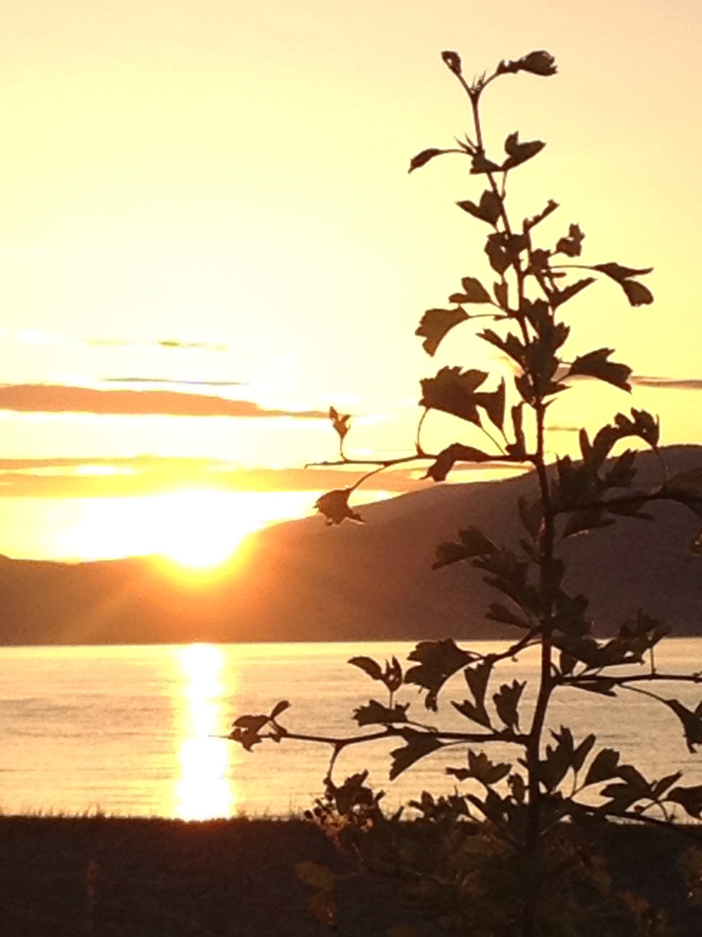 Spanish Banks Sunset Copyright Shelagh Donnelly