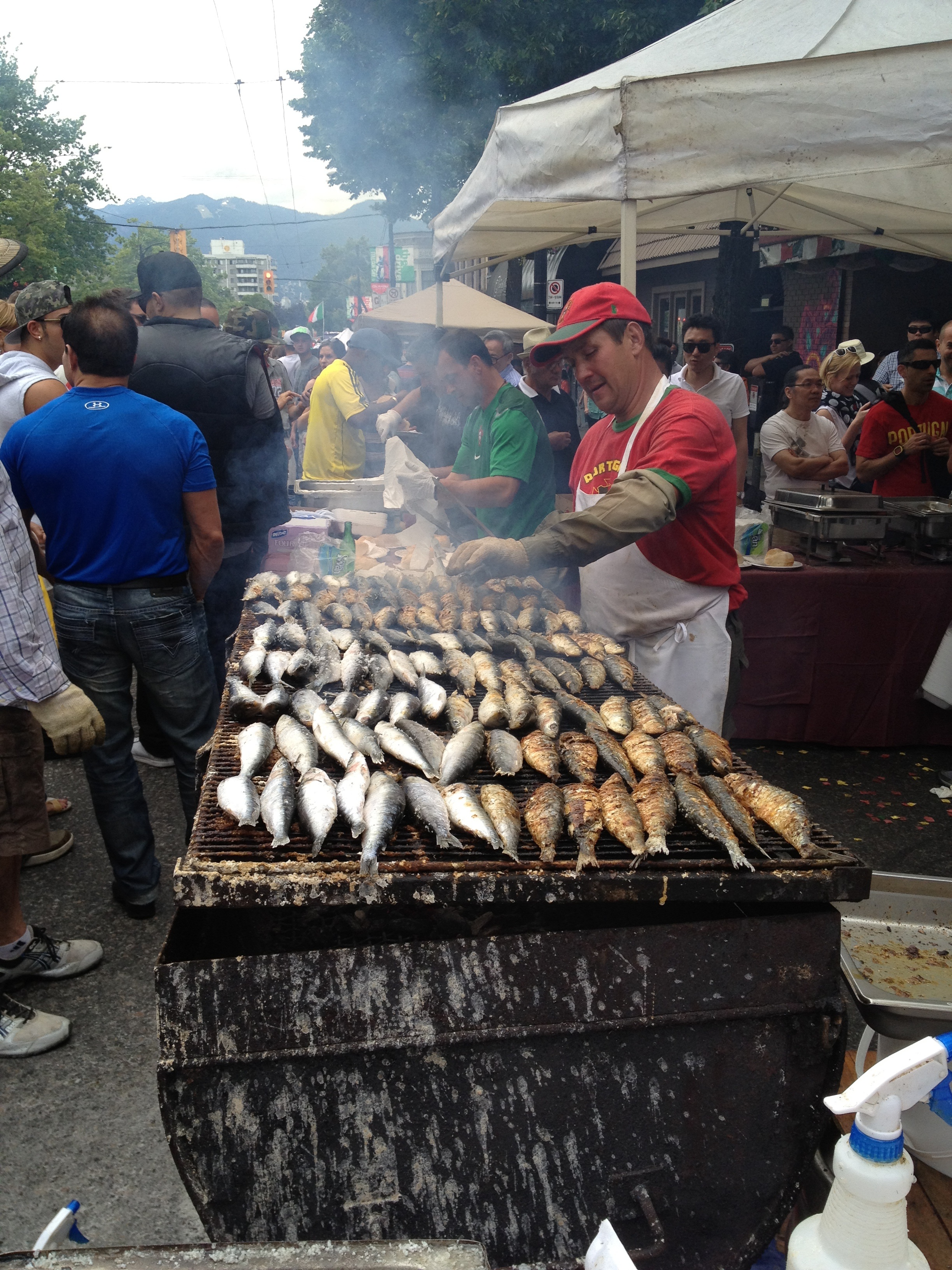 Sardines Copyright Shelagh Donnelly
