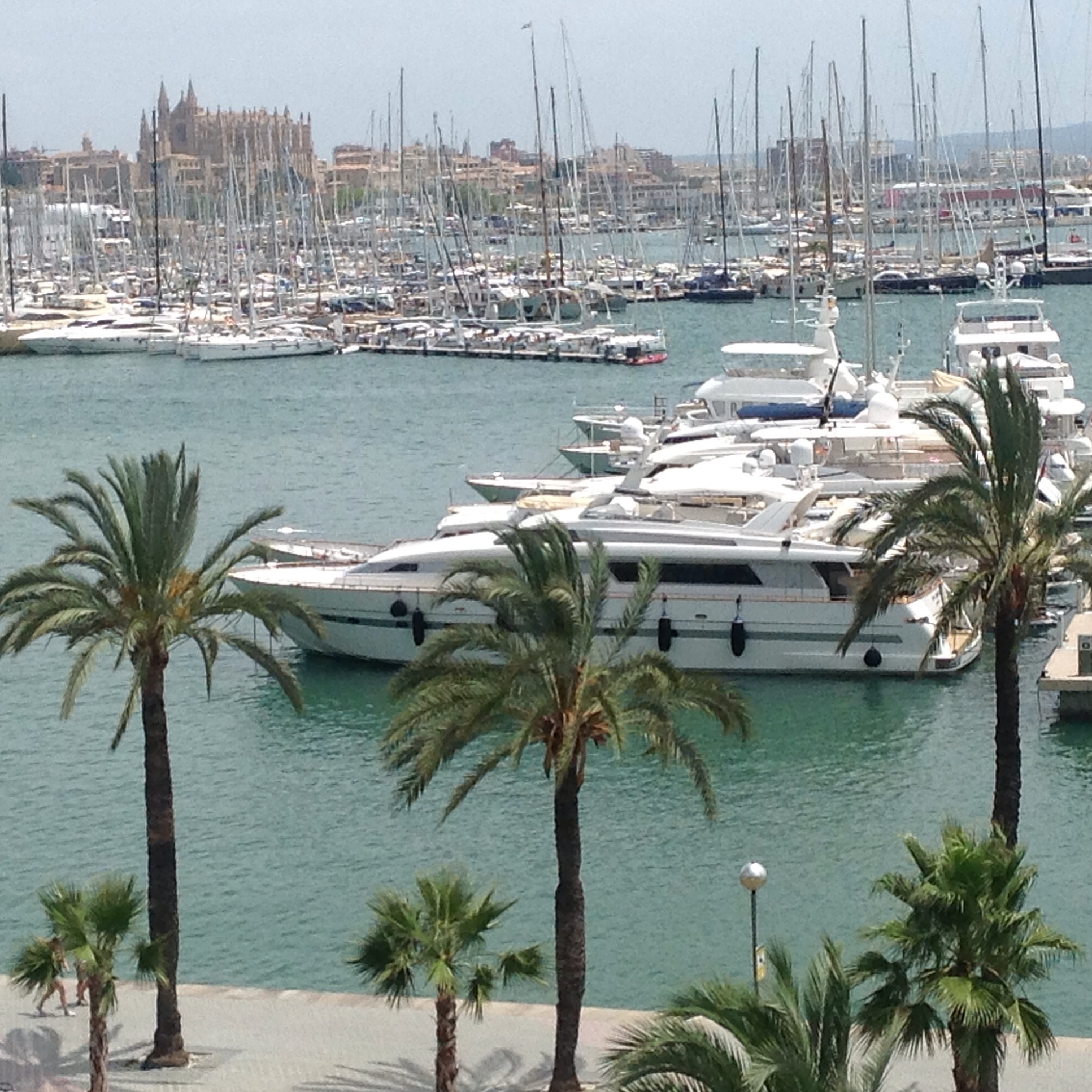 Palma de Mallorca Copyright Shelagh Donnelly