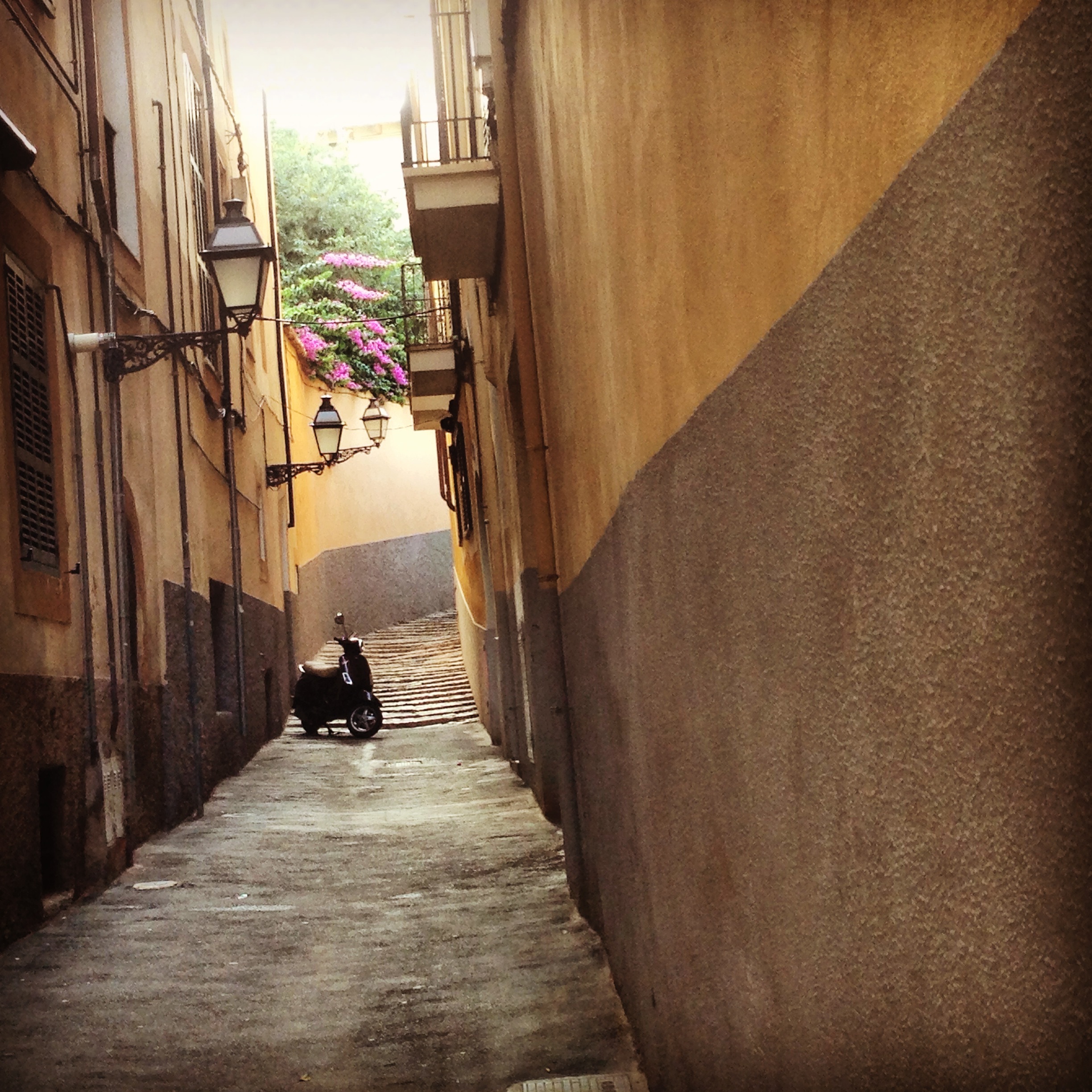 Palma de Mallorca Copyright Shelagh Donnelly