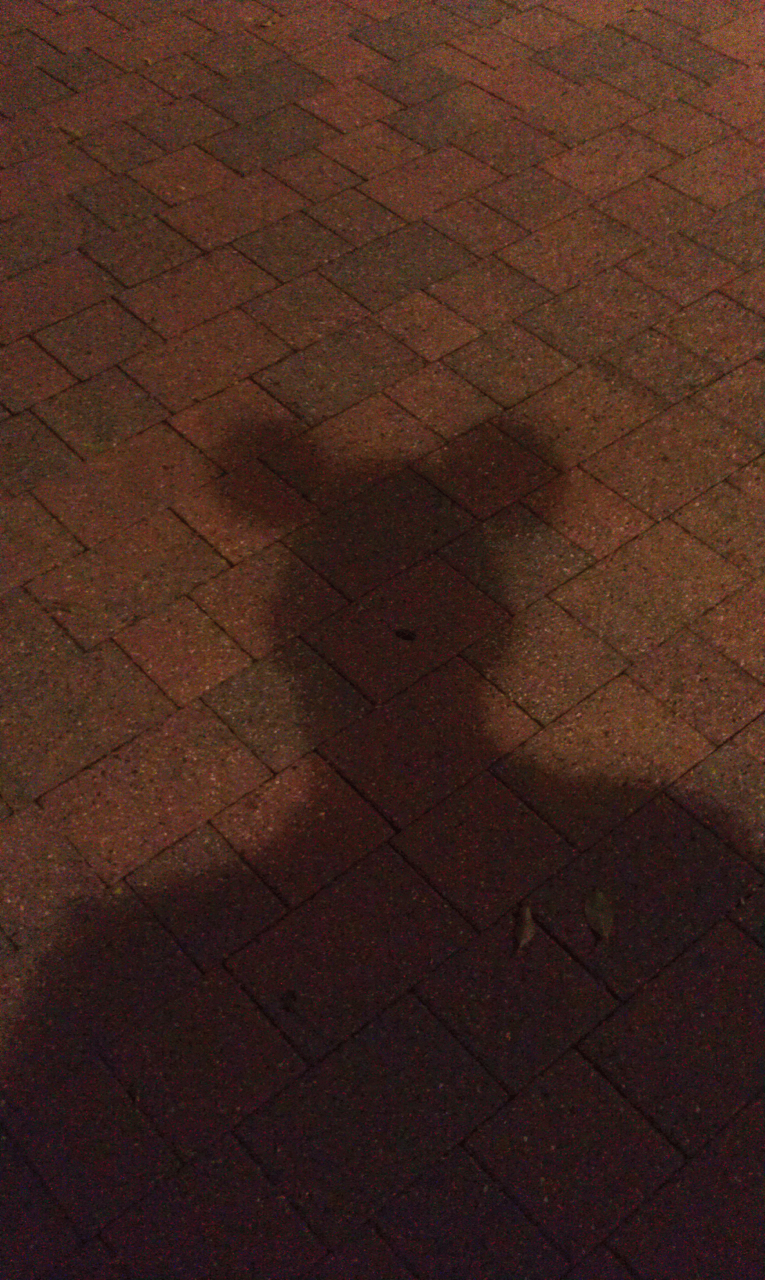 When in Disneyland...