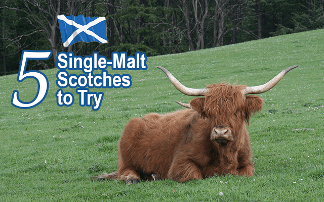 Executive Spirits & Wines 5 single malt scotches to try