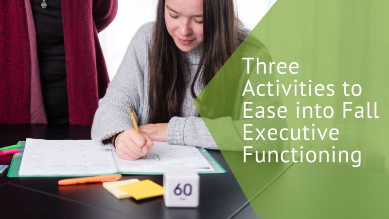Executive Functioning Tip 14 Exercise Executive Functioning Success - Premium Landscape Art Gallery - Ultra HD