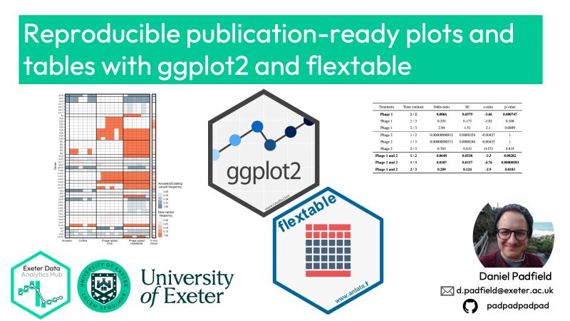 Exedatahub Presentations - Best Dark Textures in 4K