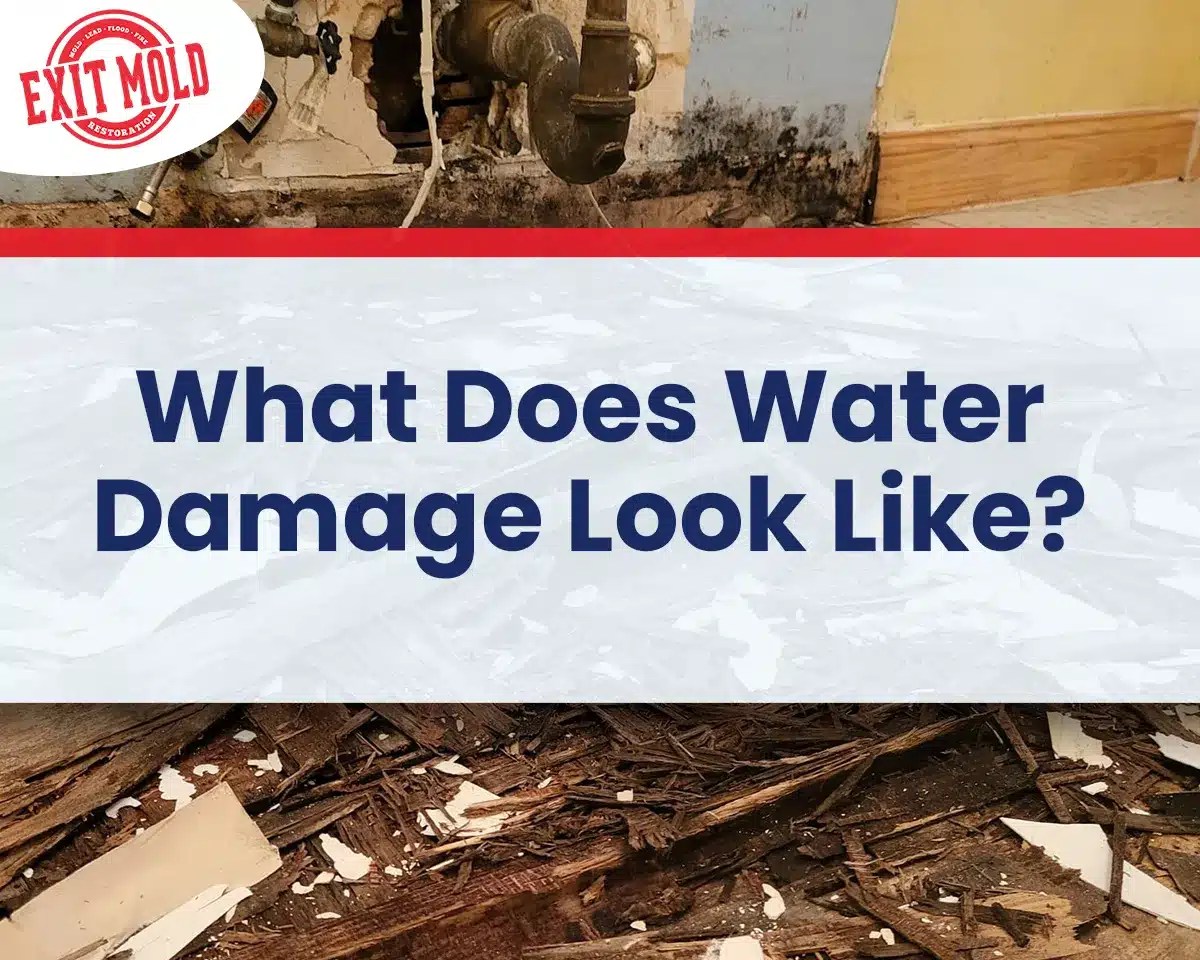 What does water damage look like?