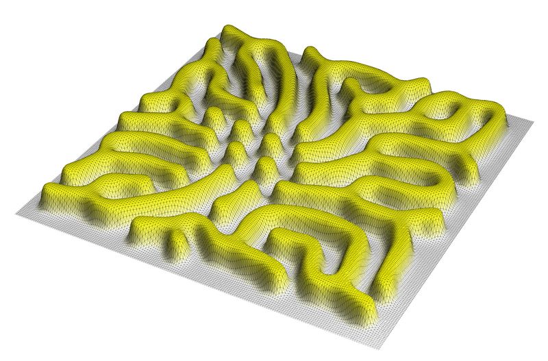 Reaction Diffusion Systems In Biology - Download Creative Gradient Art | Ultra HD