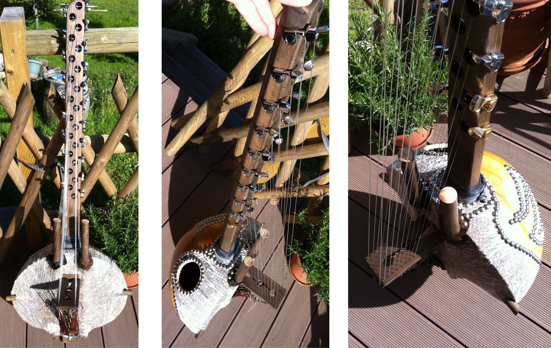 kora exocalebasses