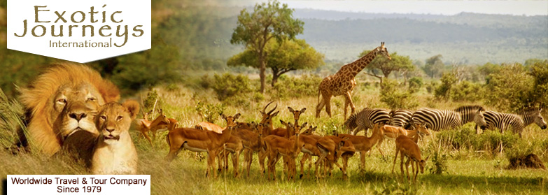 Tanzania African Safaris Luxury Deluxe Wildlife Safari