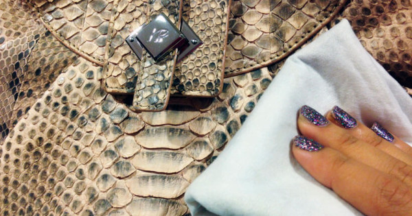 Snakeskin Backpacks Exotic Python - Artistic Mountain Illustration - Full HD