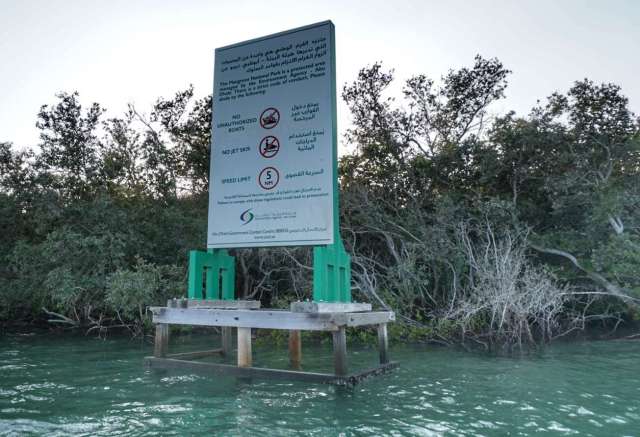 LRG_DSC06089