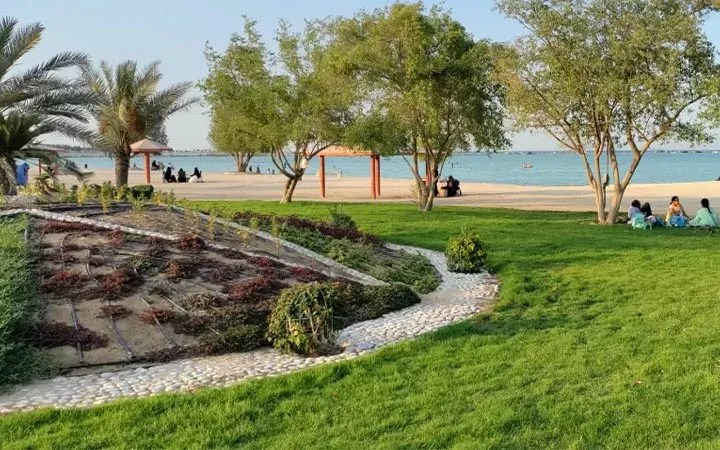 Simaisma Beach in Qatar features a grassy park with palm trees and walking paths beside a sandy shore and calm blue water. People relax under trees and gazebos, soaking up the sunny weather by the sea.