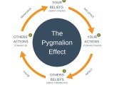 The Pygmalion Effect Explained Expert Program Management