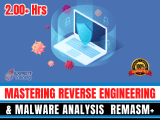 Reverse Engineering Malware Analysis Expert Training