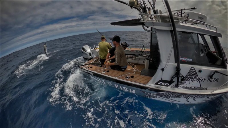 Exploding Fish Exploding Fish Added A New Photo - Premium Space Picture Gallery - High Resolution