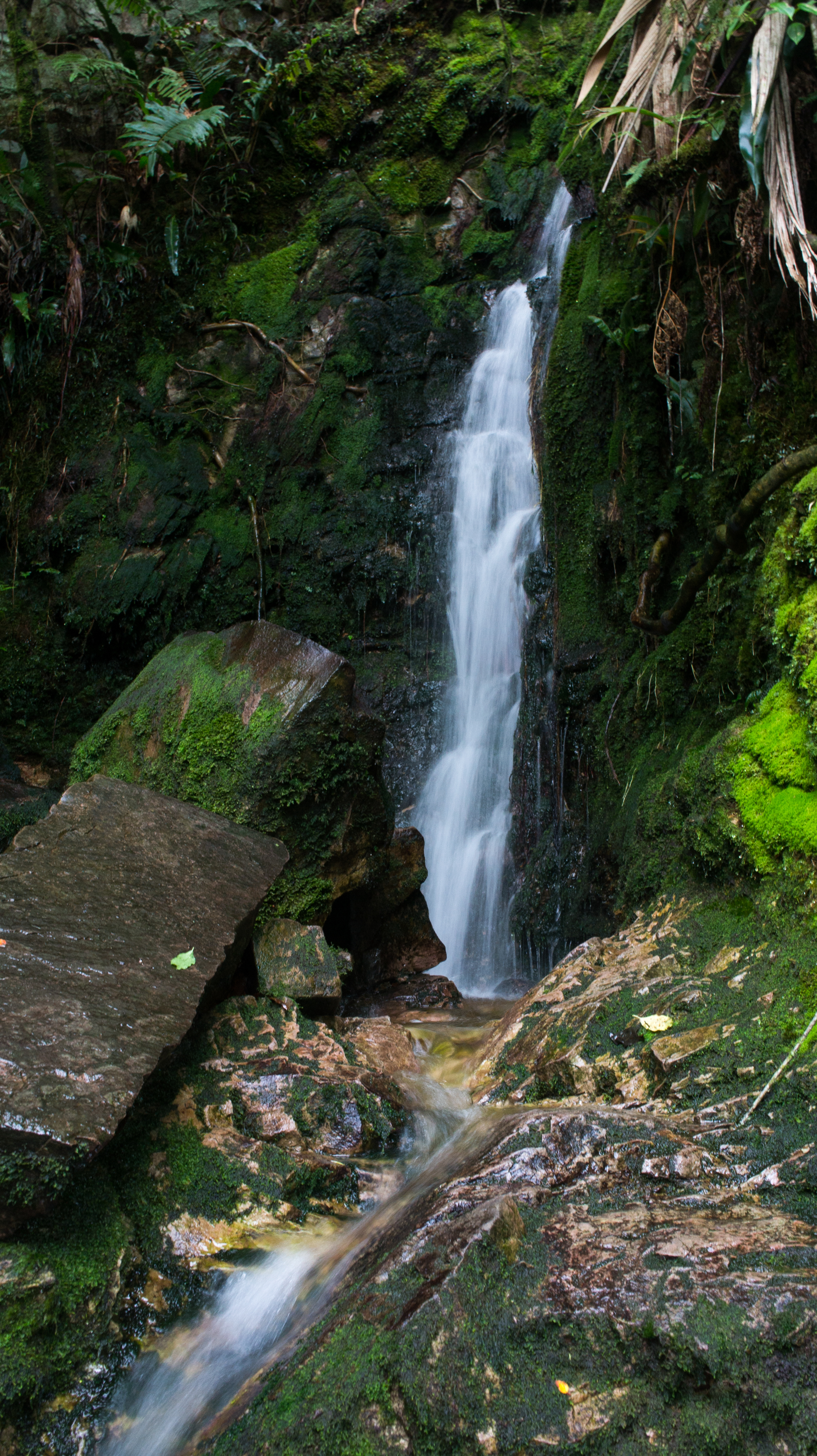 Queda d'água no Roraima