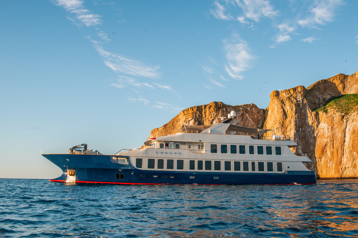 Explore And Evolve - Download Classic Nature Picture | Ultra HD