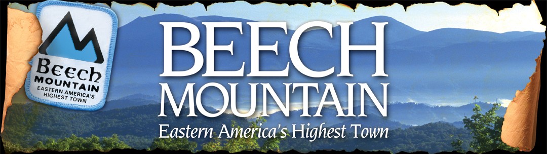 All our clients are privileged to have all their academic papers written from scratch. BULLWINKELS BEECH MOUNTAIN