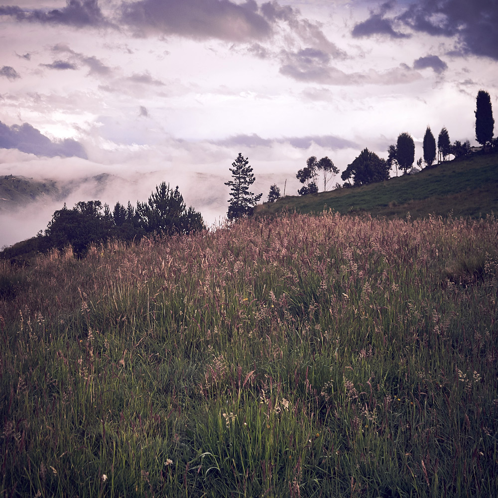 Ecuador landscape