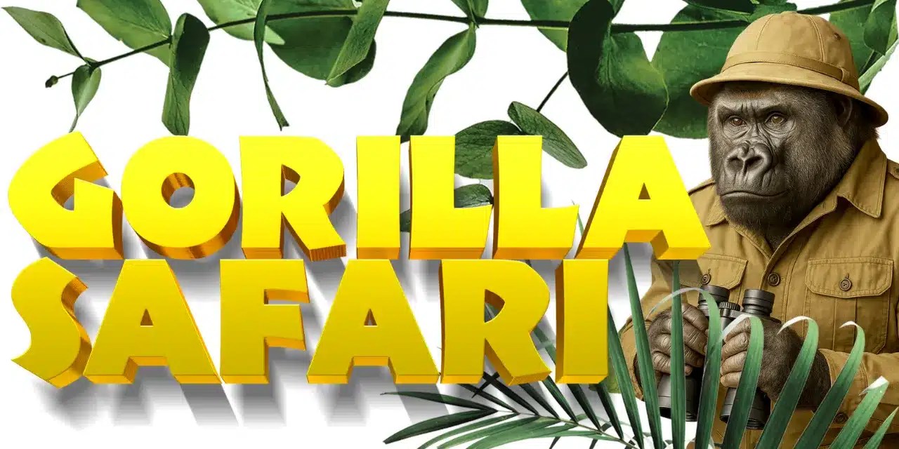 Go On A Gorilla Safari