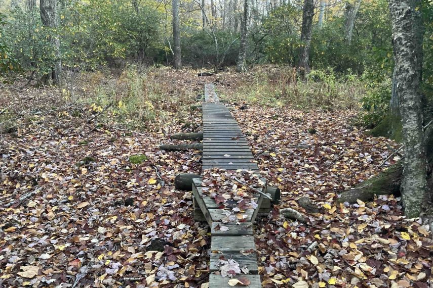 Pomfret Forest Explore Connecticut