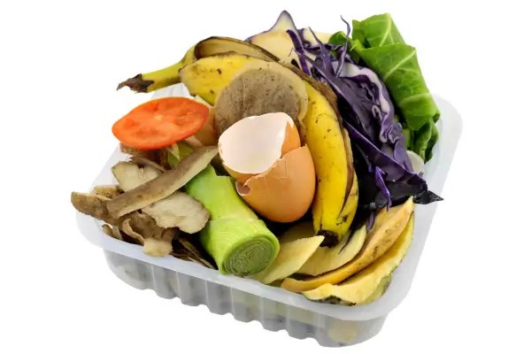 Gestão de resíduos