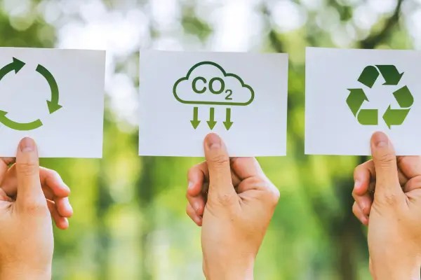 Lixo Zero no Acampamento: Guia de Planejamento Sustentável