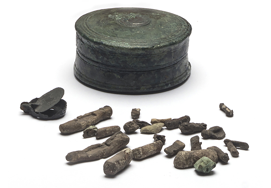 A greenish-brown, circular object with numerous brownish-gray pellets scatted in the foreground. 