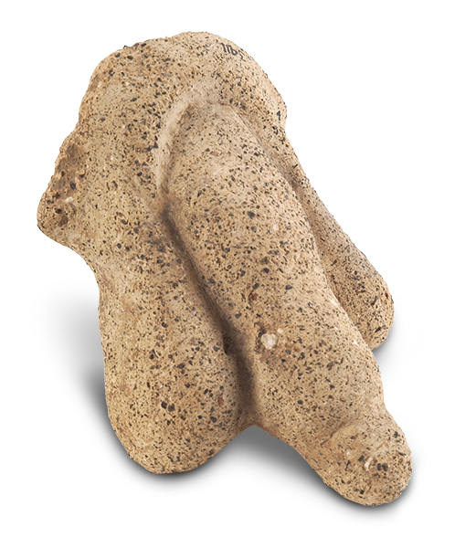A light reddish-brown object shaped like a phallus. 