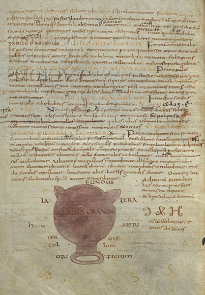 A page illustrated with a circular shape in red. Lines of handwritten text fill the rest of the page.